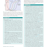 Robbins - Kumar Basic Pathology 11th Edicion