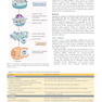 Robbins - Kumar Basic Pathology 11th Edicion