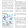 Robbins - Kumar Basic Pathology 11th Edicion