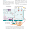 Robbins - Kumar Basic Pathology 11th Edicion