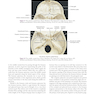 Atlas of Oral and Maxillofacial Surgery - 2nd Edicion