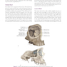 Atlas of Oral and Maxillofacial Surgery - 2nd Edicion
