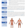 Corrective Exercise Training
