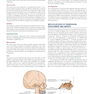 Orthodontics : Current Principles and Techniques