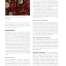 Invasive Cardiology: A Manual for Cath Lab Personnel 2023