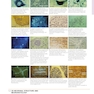 Netter’s Atlas of Neuroscience