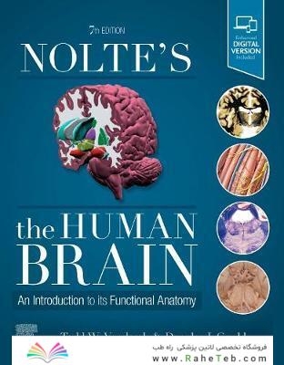 Nolte