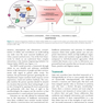 Cardiopulmonary Bypass 3rd Edicion 2022