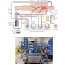 Cardiopulmonary Bypass 3rd Edicion 2022