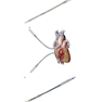 Cardiopulmonary Bypass 3rd Edicion 2022