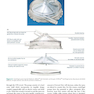 Cardiopulmonary Bypass 3rd Edicion 2022