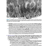 BRS Cell Biology and Histology (Board Review Series) Eighth Edition2019 کتاب زیست شناسی سلولی و بافت شناسی سلولی BRS 