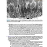 BRS Cell Biology and Histology (Board Review Series) Eighth Edition2019 کتاب زیست شناسی سلولی و بافت شناسی سلولی BRS 