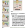 Lippincott® Illustrated Reviews: Physiology (Lippincott Illustrated Reviews Series) 2019 Second, North American Edition لیپینکات فیزیولوژی 2019