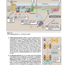 Lippincott® Illustrated Reviews: Physiology (Lippincott Illustrated Reviews Series) 2019 Second, North American Edition لیپینکات فیزیولوژی 2019