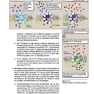 Lippincott® Illustrated Reviews: Physiology (Lippincott Illustrated Reviews Series) 2019 Second, North American Edition لیپینکات فیزیولوژی 2019