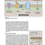 Lippincott® Illustrated Reviews: Physiology (Lippincott Illustrated Reviews Series) 2019 Second, North American Edition لیپینکات فیزیولوژی 2019