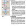 Lippincott® Illustrated Reviews: Physiology (Lippincott Illustrated Reviews Series) 2019 Second, North American Edition لیپینکات فیزیولوژی 2019