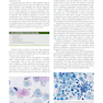 2021 Cytology: Diagnostic Principles and Clinical Correlates 5th Edition