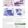 2021 Cytology: Diagnostic Principles and Clinical Correlates 5th Edition
