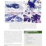 2021 Cytology: Diagnostic Principles and Clinical Correlates 5th Edition