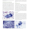 2021 Cytology: Diagnostic Principles and Clinical Correlates 5th Edition