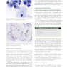2021 Cytology: Diagnostic Principles and Clinical Correlates 5th Edition