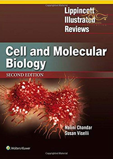 عکس 2019 Lippincott Illustrated Reviews: Cell and Molecular Biology (Lippincott Illustrated Reviews Series) Second, North American Edition لیپینکات زیست شناسی سلولی و ملکولی