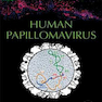 Human Papillomavirus: Proving and Using a Viral Cause for Cancer 1st Edition, 2020 ویروس پاپیلومای انسانی: تهیه و استفاده از یک علت ویروسی برای سرطان