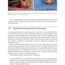 Digital Restorative Dentistry: A Guide to Materials, Equipment, and Clinical Procedures 1st ed. 2019 Edition