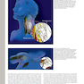 Gray’s Anatomy: The Anatomical Basis of Clinical Practice 41st Edition2015 آناتومی: مبانی تشریحی تمرین بالینی