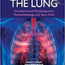 The Lung: Developmental Morphogenesis, Mechanobiology, and Stem Cells2019 ریه: مورفوژنز رشد ، مکانیوبیولوژی و سلولهای بنیادی