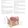 CURRENT Diagnosis - Treatment Otolaryngology-Head and Neck Surgery 4th Edition