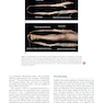 Anatomy Trains, 4th Edition 2021