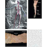 Anatomy Trains, 4th Edition 2021