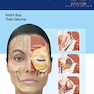 Dermal Fillers: Facial Anatomy and Injection Techniques2020