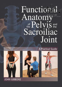 عکس Functional Anatomy of the Pelvis and the Sacroiliac Joint 2017 آناتومی عملکردی لگن و مفصل ساکروایلیاک: یک راهنمای عملی