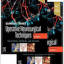 Schmidek and Sweet: Operative Neurosurgical Techniques 2-Volume Set: Indications, Methods and Results2021