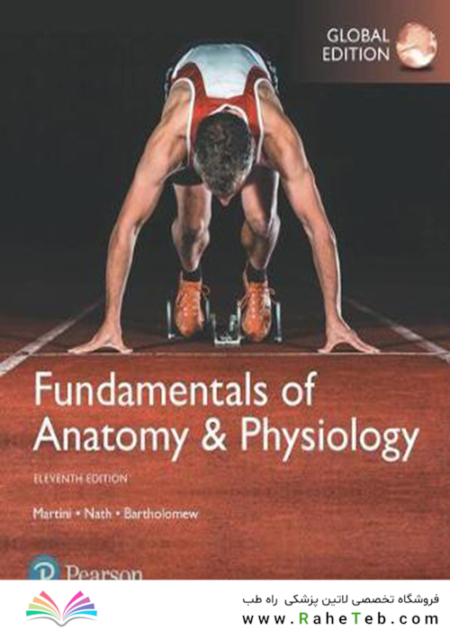Fundamentals of Anatomy - Physiology (11th edition) [Paperback Global Edition] [Paperback] [Jan 01, 2018] Frederic H. Martini (author), Judi L. Nath (author), Edwin F.