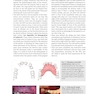 Case Guides to Complete and Partial Denture Prosthodontics 2020