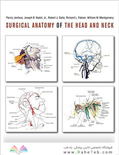 Surgical Anatomy of the Head and Neck
