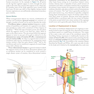 Joint Structure and Function: A Comprehensive Analysis Sixth Edición