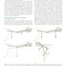 Joint Structure and Function: A Comprehensive Analysis Sixth Edición