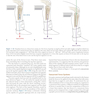 Joint Structure and Function: A Comprehensive Analysis Sixth Edición
