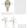 Joint Structure and Function: A Comprehensive Analysis Sixth Edición