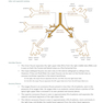 Core Radiology: A Visual Approach to Diagnostic Imaging 2nd Edición