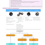 Core Radiology: A Visual Approach to Diagnostic Imaging 2nd Edición