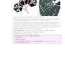 Core Radiology: A Visual Approach to Diagnostic Imaging 2nd Edición