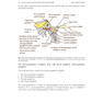 Local Anesthesia and Extractions for Dental Students : Simple Notes and Guidelines 2018