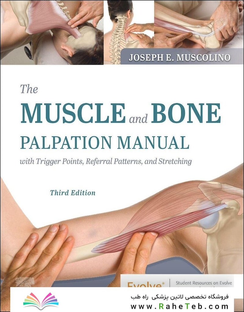 The Muscle and Bone Palpation Manual with Trigger Points, Referral Patterns and Stretching 3rd Edición